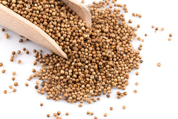 Coriander seeds in wooden scoop