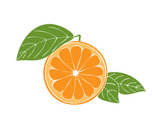 Orange half, hand drawn fruit with leaves, isolated on white background.