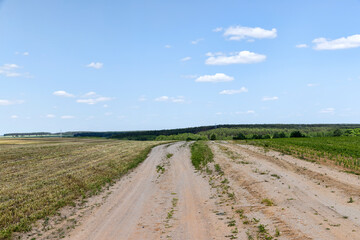 Fototapeta premium sandy road in the field in the summer
