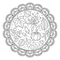 Round drawing with an autumn theme - pumpkin, leaves, fruits and acorns. Coloring antistress for adults and children. Doodle ornament in black and white. Hand draw vector illustration.