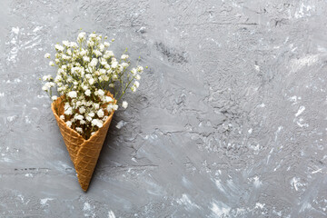 Waffle cone with beautiful gypsophila flowers on color background. summer concept. Copy space top...