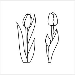 Outline tulip isolated Coloring page book Doodle flower Hand drawn art line Vector stock illustration EPS 10