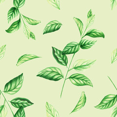 Watercolor seamless pattern of fresh peppermint leaves isolated on background. Detail of beauty products and botany set, cosmetology and medicine. For designers, spa decoration, postcards, w