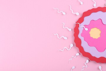 Fertilization concept. Sperm cells swimming towards egg cell on pink background, top view with...