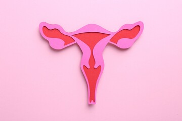Reproductive medicine. Paper uterus on pink background, top view
