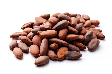 Cocoa beans isolated on white background