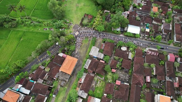 Large procession at Balinese village street, high angle aerial view. Local people wearing white clothes, celebrate religious event. Parade gathering at settlements and walking to main temple