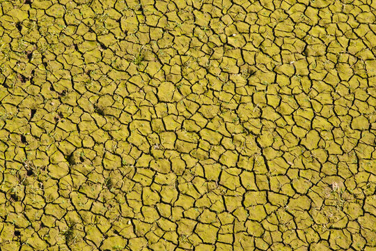 Germany,North Rhine Westphalia, Desiccated river bed inEifel National Park