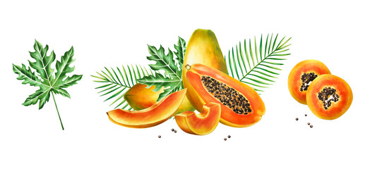 Marker sweet ripe compositions with slice, half papaya and tropical leafs in watercolor style. Hand drawn realistic tasty marker illustration of exotic tropical fruit isolated on background. For d - obrazy, fototapety, plakaty