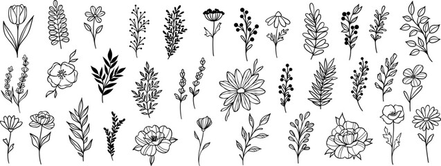 Plant illustration set, flowers and leaves clip art, hand drawn line art sketches, modern isolated doodle collection - obrazy, fototapety, plakaty