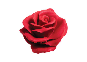 Red Rose Isolated on Transparent Background.
