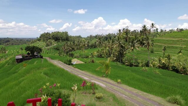 Jatiluwih rice fields central sign, aerial camera fly over, short clip. Physical red letters with place name located in middle of famous area. Scenic landscapes around