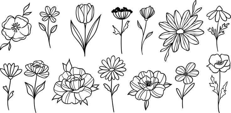 Flower doodles, vector floral illustrations cute tiny hand drawn decorative element set
