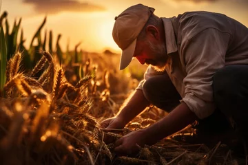 Foto auf Leinwand A farmer working on the field © Arisctur
