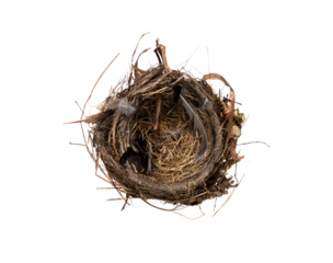 Looking down onto a real natural empty birds nest isolated against a transparent background.