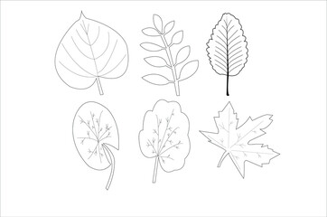 Vector line art drawing or line art drawing illustration