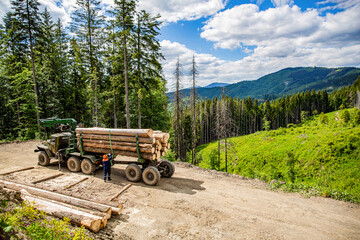 Felling of trees,cut trees , forest cutting area, forest protection concept. Lumberjack with modern...