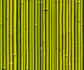 Seamless green bamboo wall texture, natural tiled pattern.

