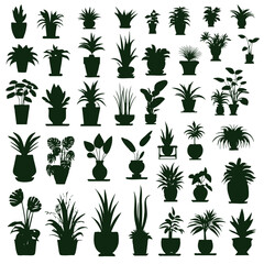 Houseplants. Vector set silhouettes home plants, succulents in pot. Indoor exotic flowers with stems and leaves. Monstera, ficus, pothos, yucca, dracaena, cacti, snake plant for home and interior - obrazy, fototapety, plakaty
