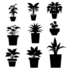 Houseplants. Vector set silhouettes home plants, succulents in pot. Indoor exotic flowers with stems and leaves. Monstera, ficus, pothos, yucca, dracaena, cacti, snake plant for home and interior - obrazy, fototapety, plakaty