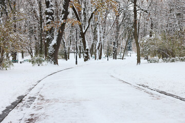 Picturesque view of park covered in snow
