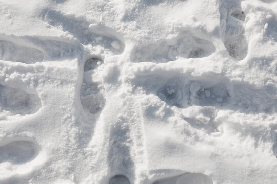 Bootprints on snow outdoors, top view. Winter season