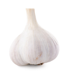 Head of fresh garlic isolated on white