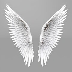 Obraz premium white angel wing on gray or black background for designer graphic stock photo