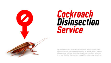 3D Red And Black Cockroach Disinsection Service - obrazy, fototapety, plakaty