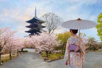 Young Japanese woman in a traditional Kimono dress strolls byToji Temple in Kyoto during full bloom...