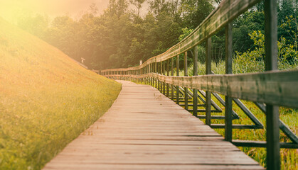 Wooden pathway in sunny summers day. background