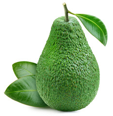 Avocado fruit isolate