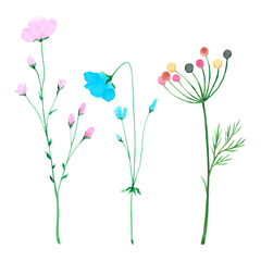 Hand drawn watercolor wildflowers bouquet isolated on white background. Can be used for cards, label, poster and other printed products.