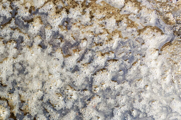 Tranquil scene of water puddle with rippling surface and foam