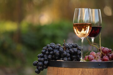 Delicious wines and ripe grapes on wooden barrel outdoors, space for text