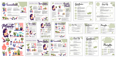 Obraz premium Big set of Nature Template infographics for houseplant care. The collection banner, posters, flyers for for advertising