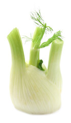 Fresh raw fennel bulb isolated on white