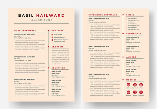 Clean and Professional Resume Layout