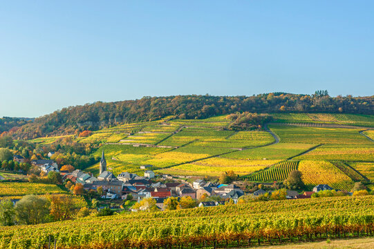 View at Ahn, Mosel valley, Kanton Grevenmacher, Rhineland-Palatinate, Germany