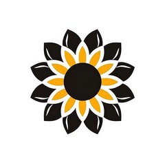 a beautiful image of sunflower