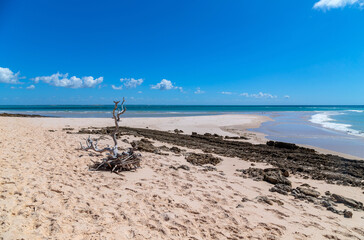 Pristine beach in Inhaca Island