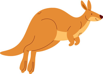 Kangaroo Animal Running