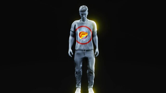 Abstract 3d anatomy view of the liver