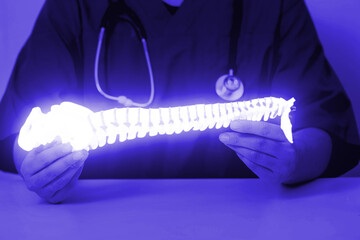 Glowing model of the spine in the hands of a doctor, close-up. Spine x-ray concept, computed...