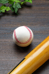 硬式野球ボールと木製バット