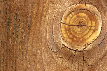 wood background with natural patterns