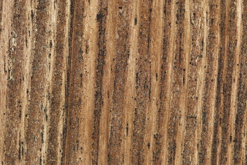 wood background with natural patterns