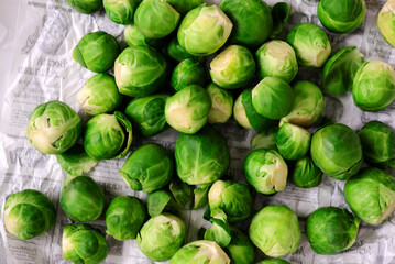 Fresh brussels spraut. top veiw