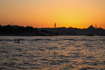 Fototapeta premium Cruise to Bosphorus, Istanbul