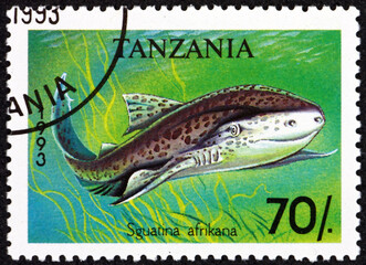 Postage stamp Tanzania 1993 African angelshark, squatina africana